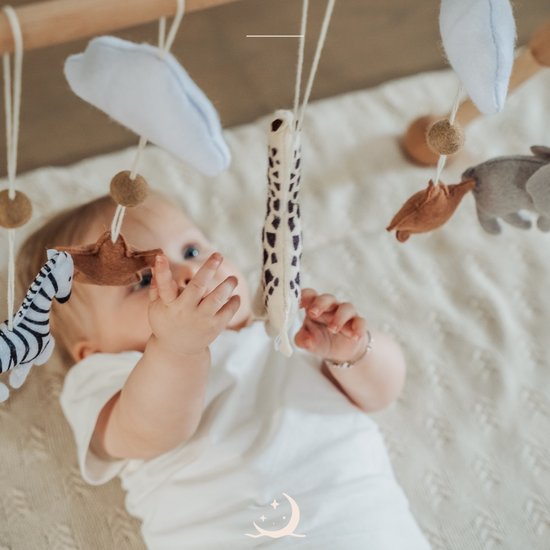 Babygym met safari thema