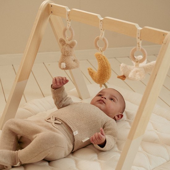 Babygym newborn Little Dutch