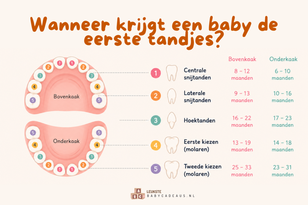 Wanneer komen de